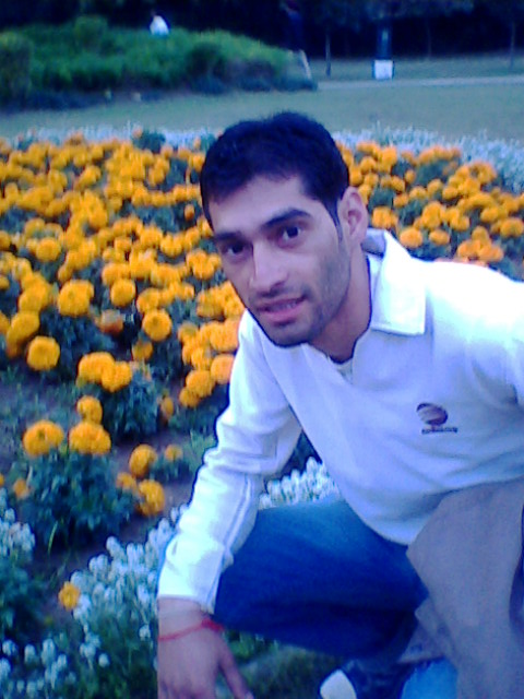 Ashok Thakur PHP Developer mandi himachal Chandigarh