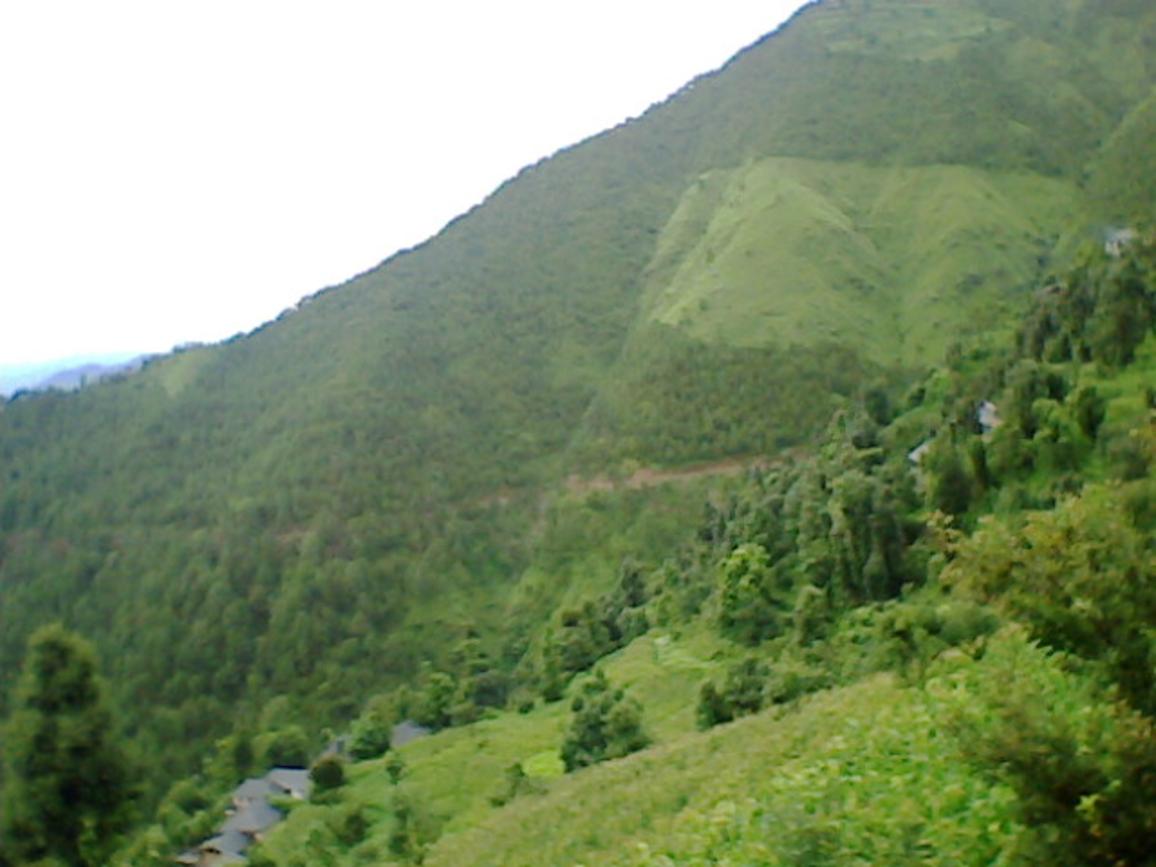 My HOme right side hills