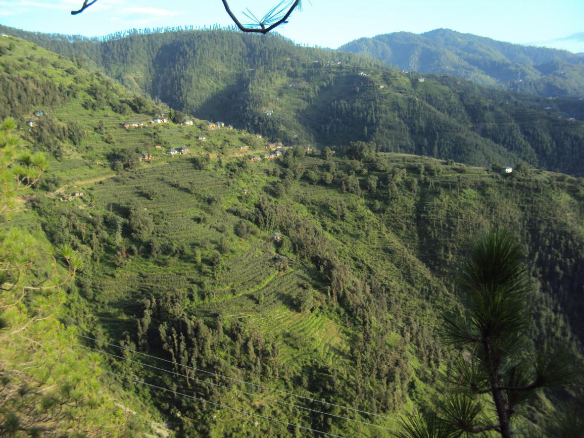 Green home vally view part 2