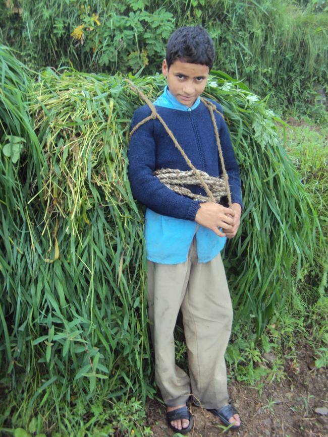 Our culture boy carring grass on his shoulders