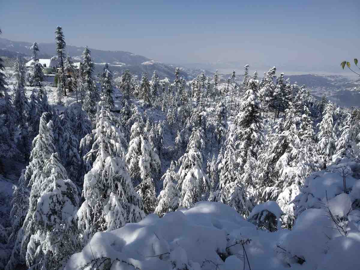 Snowfall Feb 2019 Keolidhar Viradhar Tolar Studio