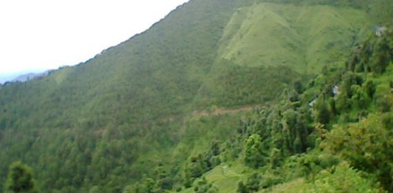 My HOme right side hills