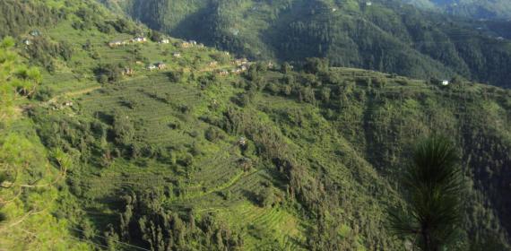 Green home vally view part 2